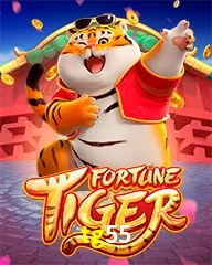 TG55.COM